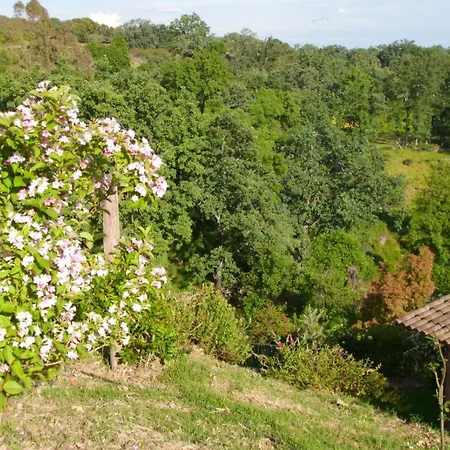 Cuello De Dama Apartment